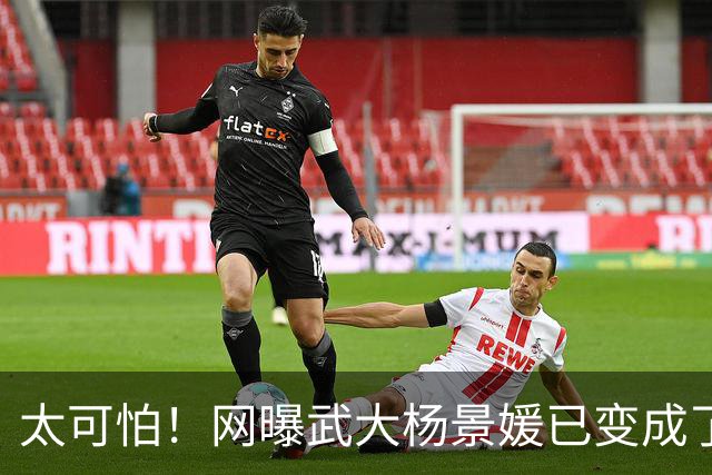 太可怕！网曝武大杨景媛已变成了正面角色了，出现在某一本情感书籍中